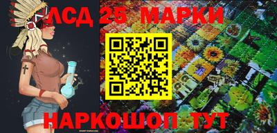 гидропоника Сланцы