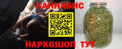 гидропоника Сланцы