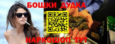 гидропоника Сланцы