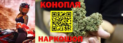 гидропоника Сланцы