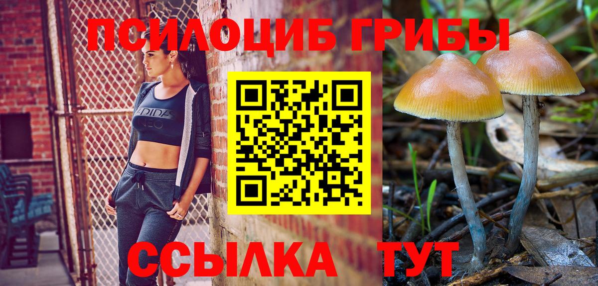 Подольск  Псилоцибиновые грибы Magic Shrooms  Псилоцибиновые грибы прущие грибы  Вход с VPN 